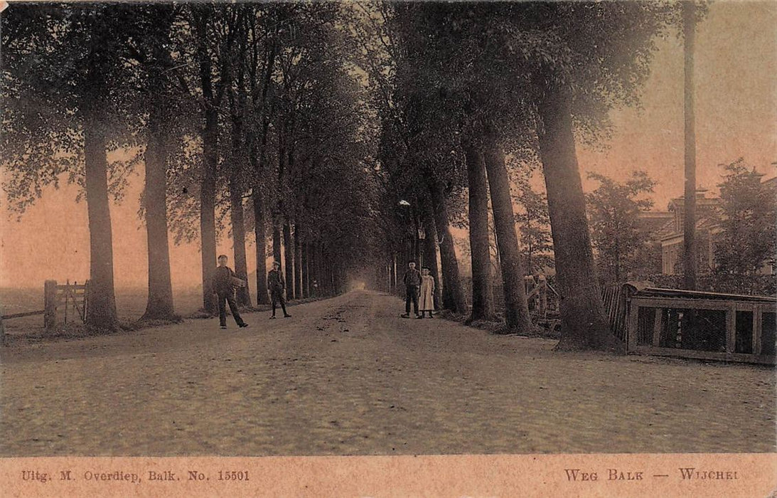 Weg Balk Wijckel
