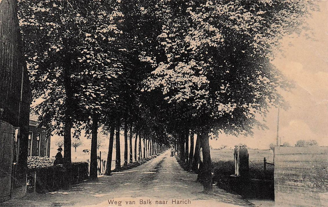 Weg Van Balk Naar Harich