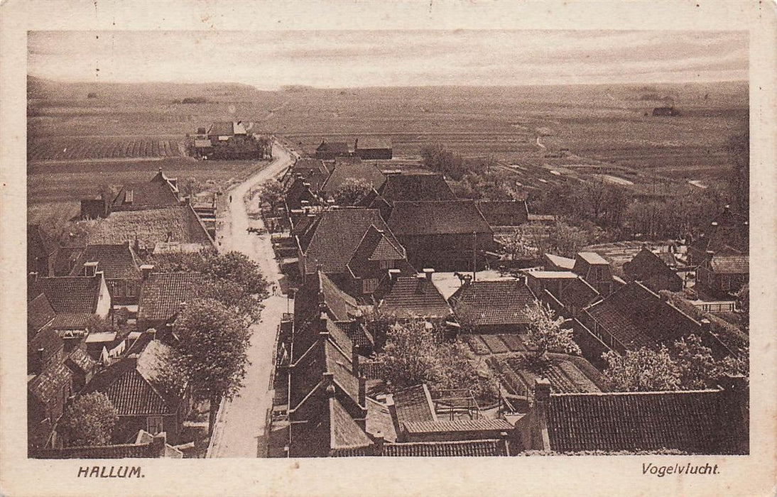Hallum Vogelvlucht