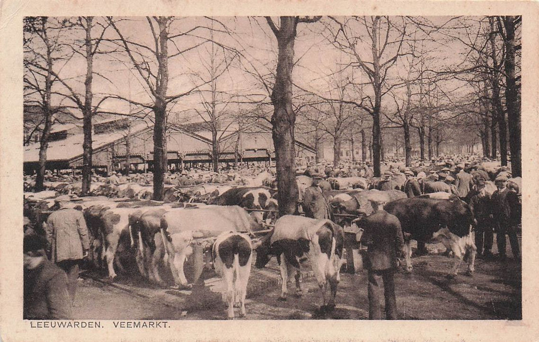 Leeuwarden Veemarkt