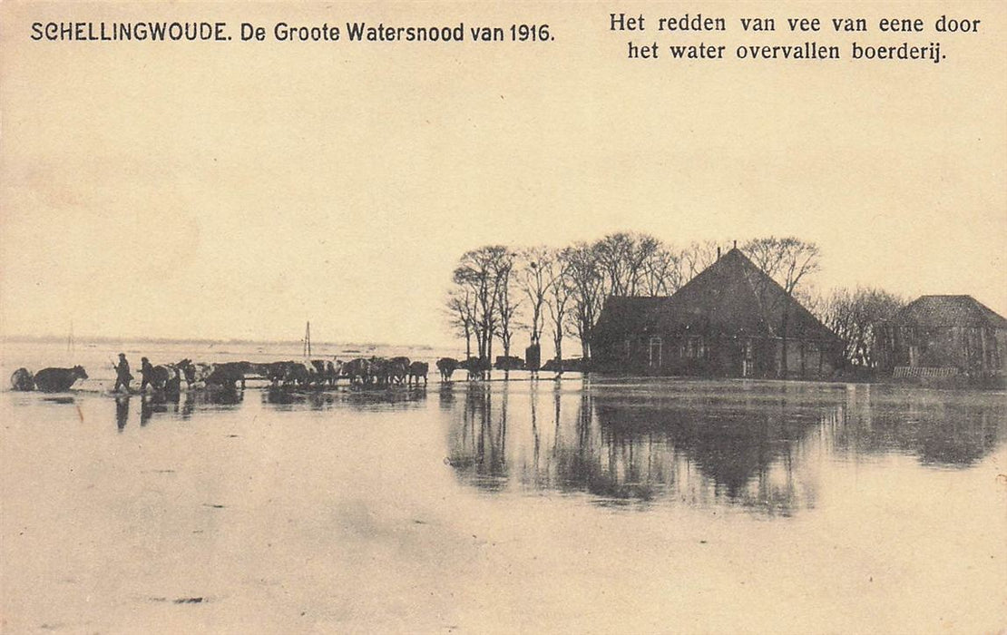 Schellingwoude De Groote Watersnood Van 1916