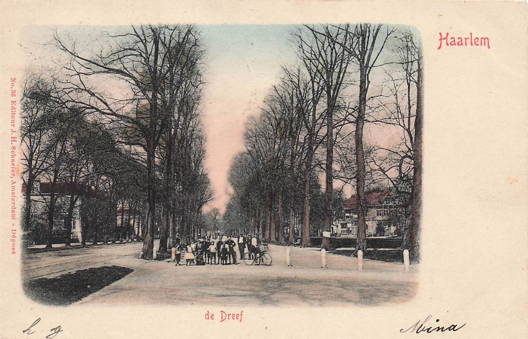 De Dreef Haarlem