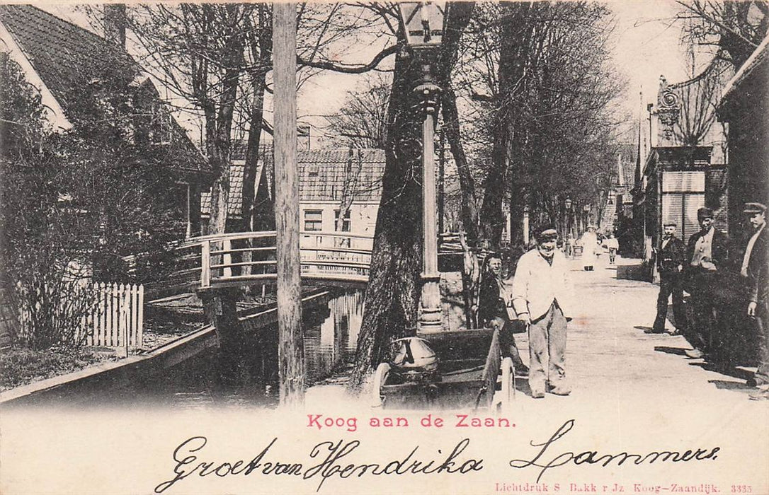 Koog Aan De Zaan