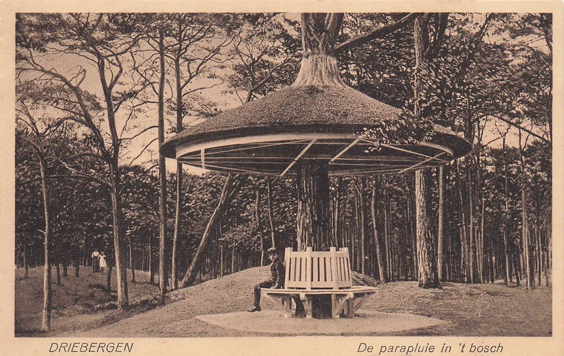 Driebergen De Parapluie In 'T Bosch