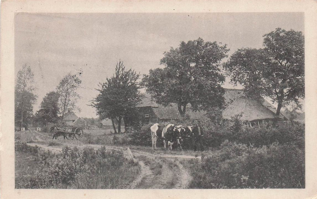 Ontginningen Te Hilvarenbeek