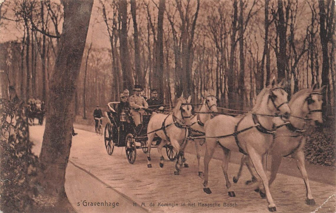 S'Gravenhage Hm De Koningin In Het Haagsche Bosch