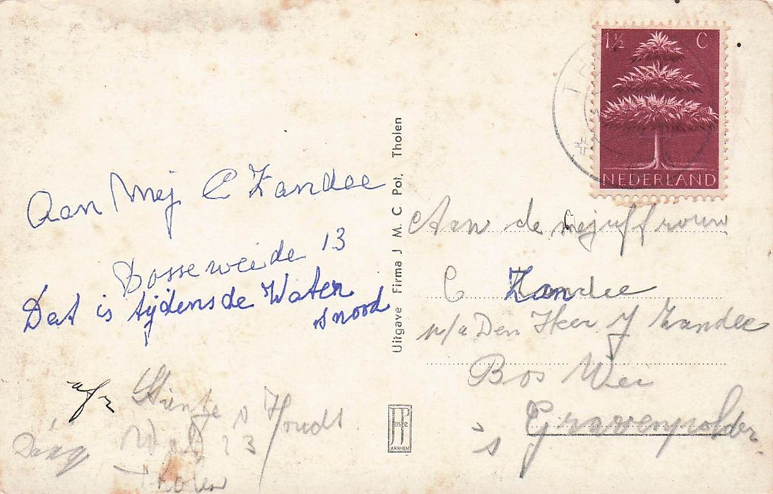 Tholen Molenvlietschestraat