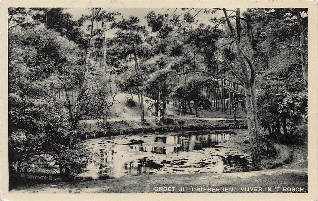 Groet Uit Driebergen Vijver In 'T Bosch