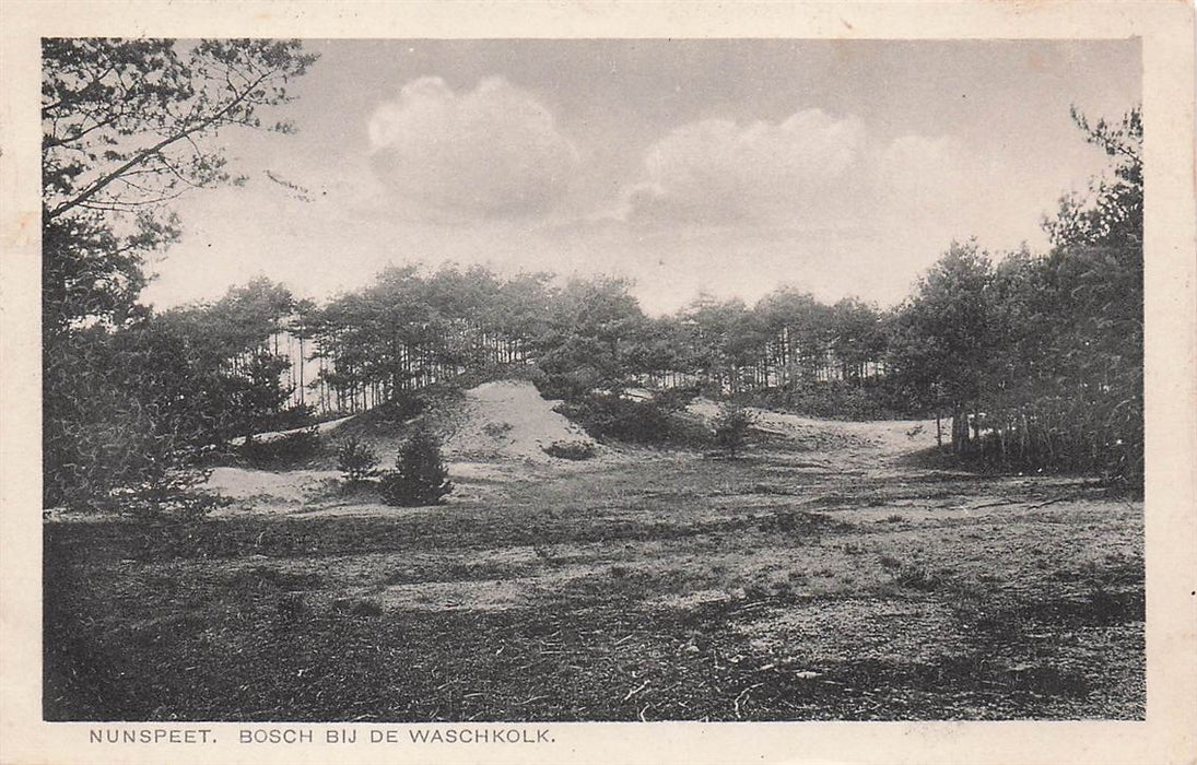 Nunspeet Bosch Bij De Waschkolk