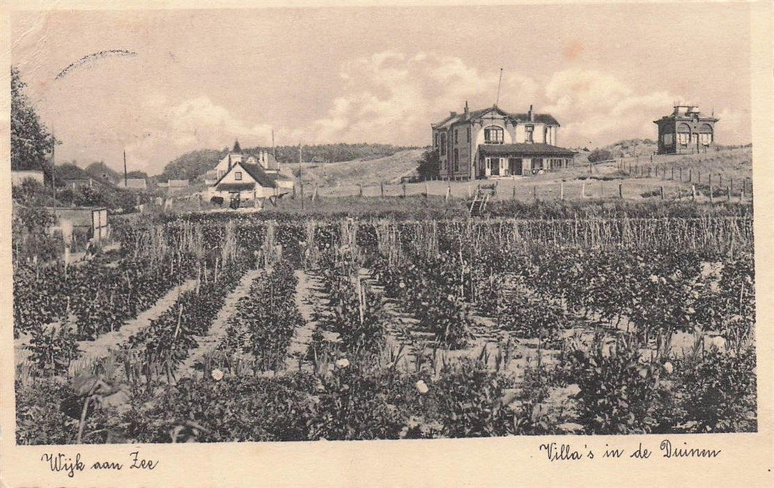 Wijk Aan Zee Villa'S In De Duinen