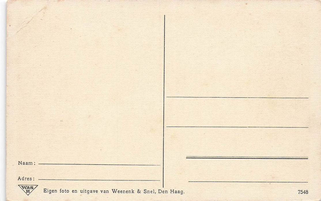 Borculo Na De Cycloon Op 10 Augustus 1925