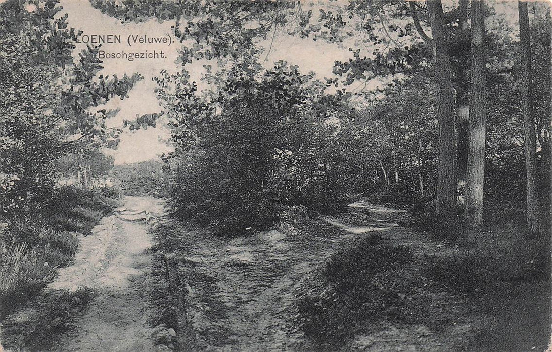 Loenen (Veluwe) Boschgezicht