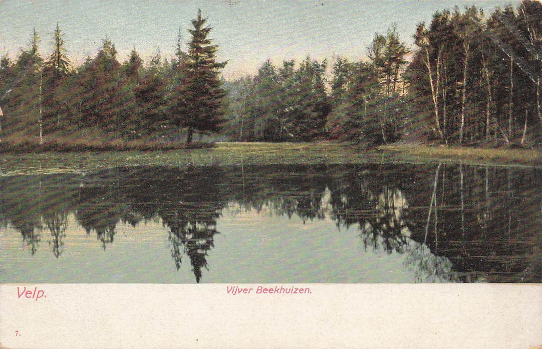 Velp Vijver Beekhuizen