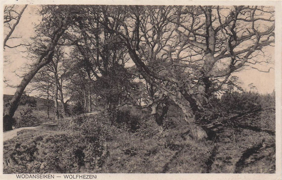 Wodanseiken Wolfheze