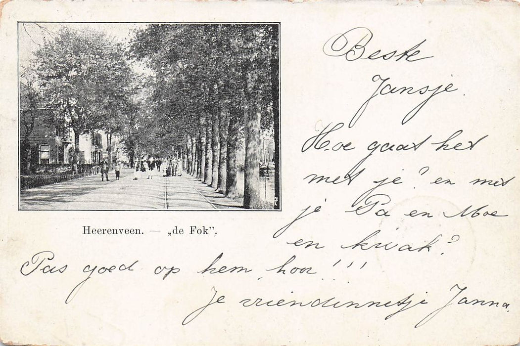 Heerenveen De Fok