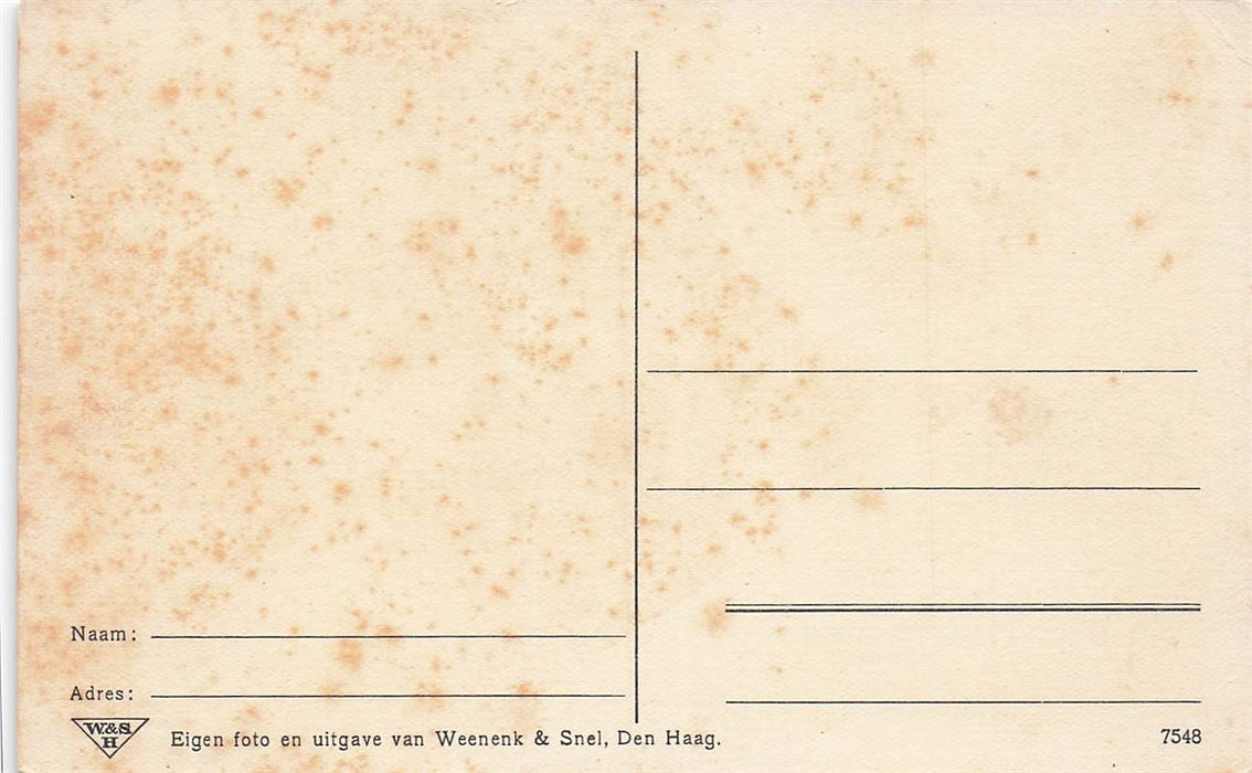 Borculo Na De Cycloon Op 10 Augustus 1925