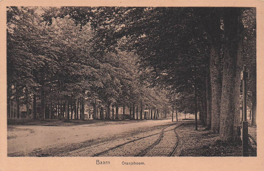 Baarn Oranjeboom