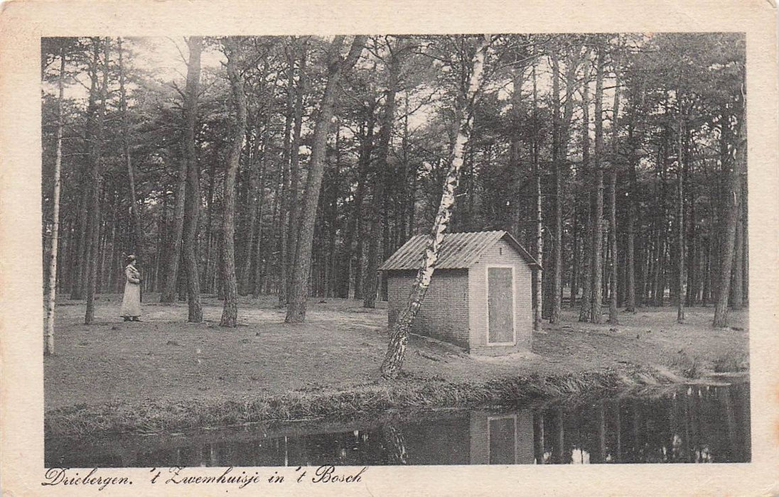 Driebergen 't Zwem Huisje In 't Bosch