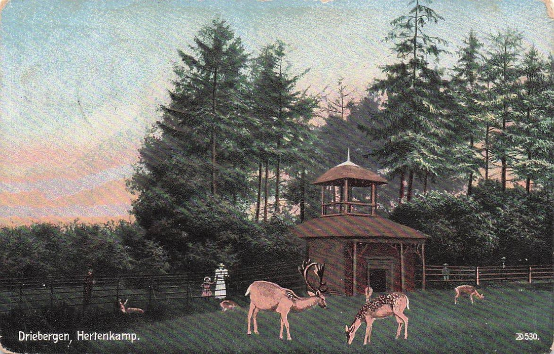 Driebergen Hertenkamp