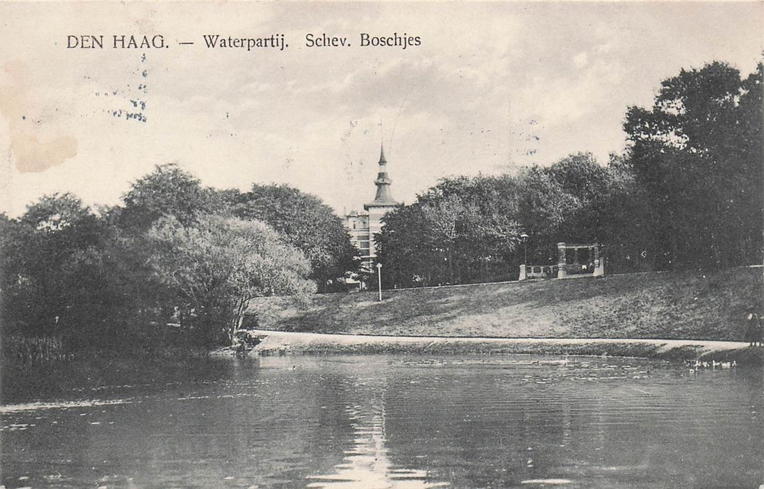 Den Haag Waterpartij Schev Boschjes
