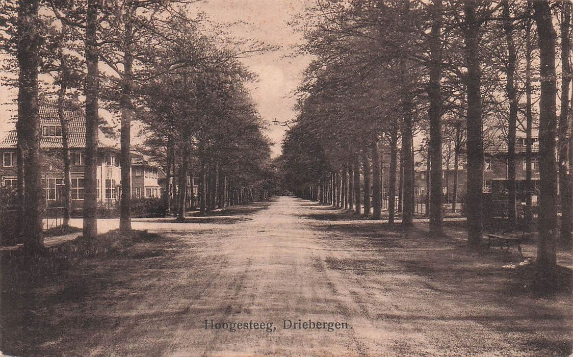 Hoogesteeg Driebergen