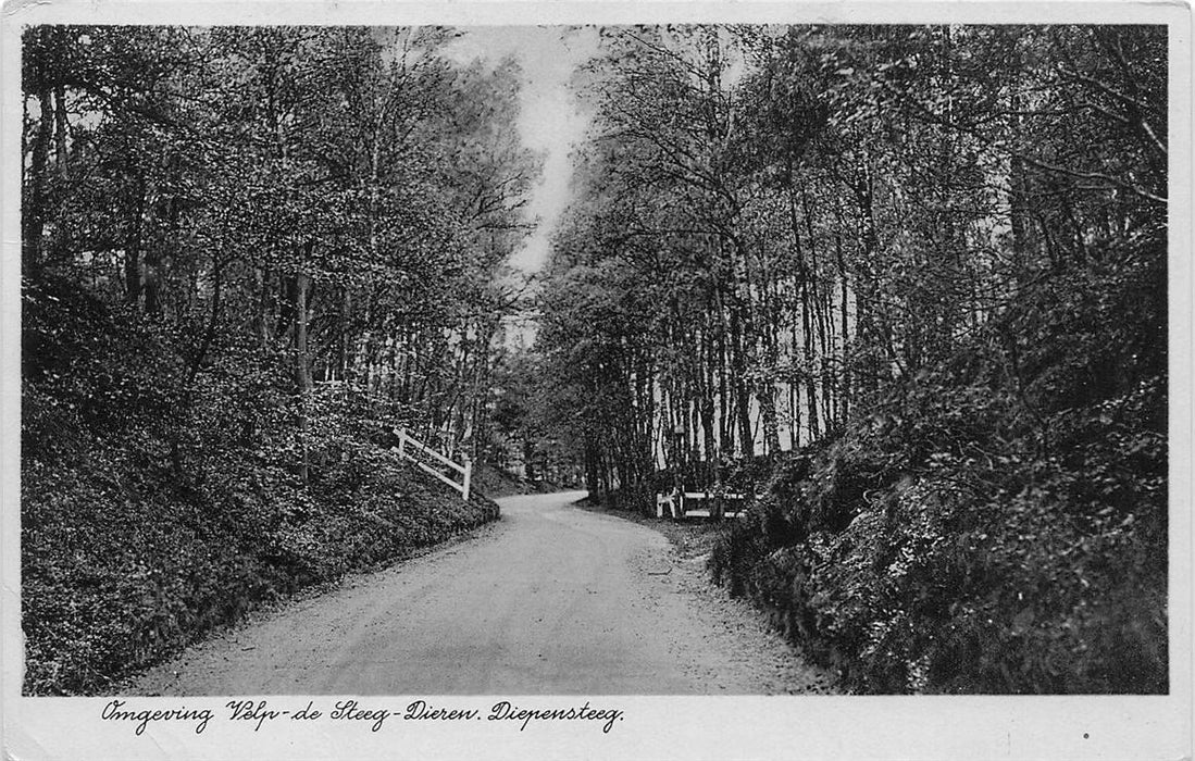 Omgeving Velp-De Steeg-Dieren Diepensteeg