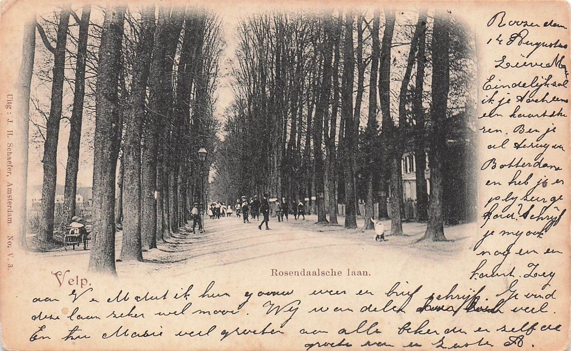Velp Rosendaalsche Laan