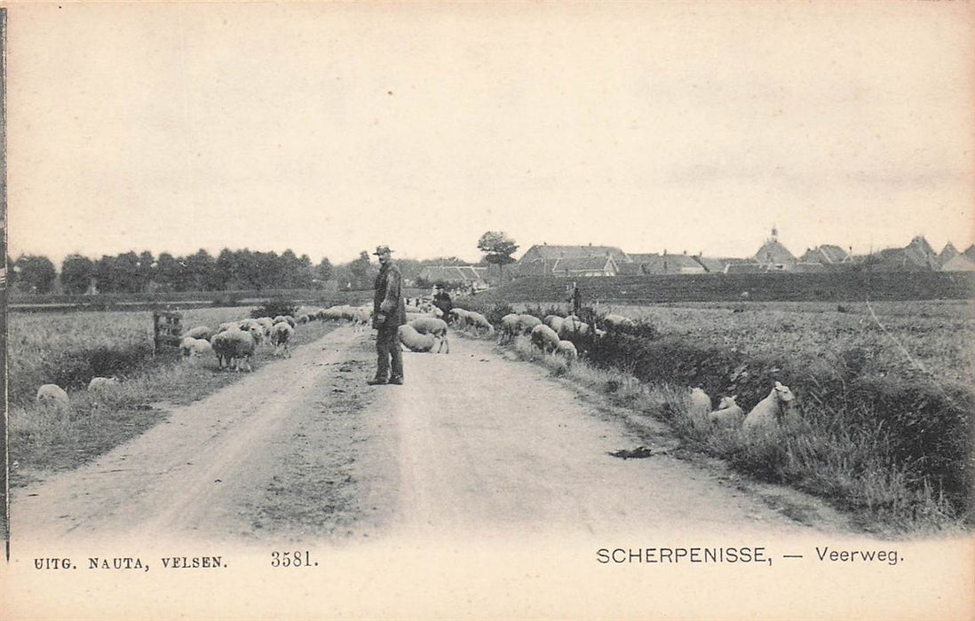 Scherpenisse Veerweg