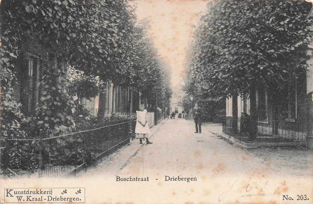 Boschstraat Driebergen