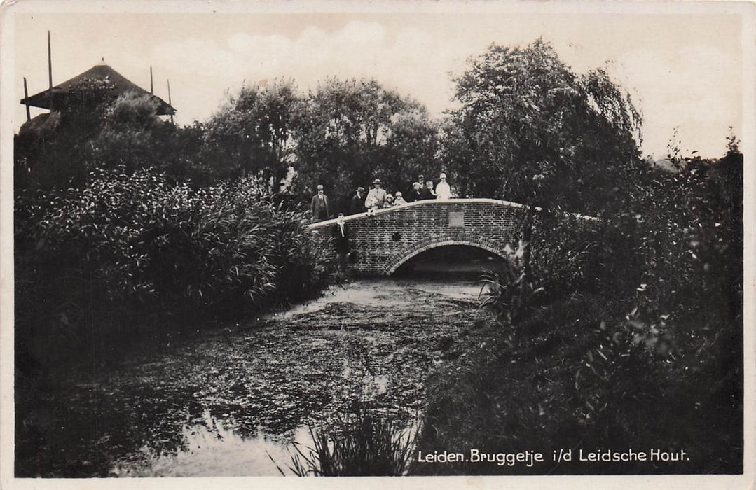 Leiden Bruggetje Id Leidsche Hout.