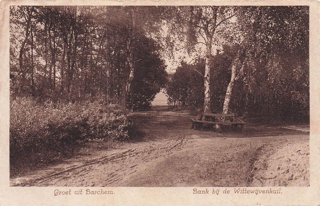 Groet Uit Barchem Bank Bij De Wittewijvenkuil.