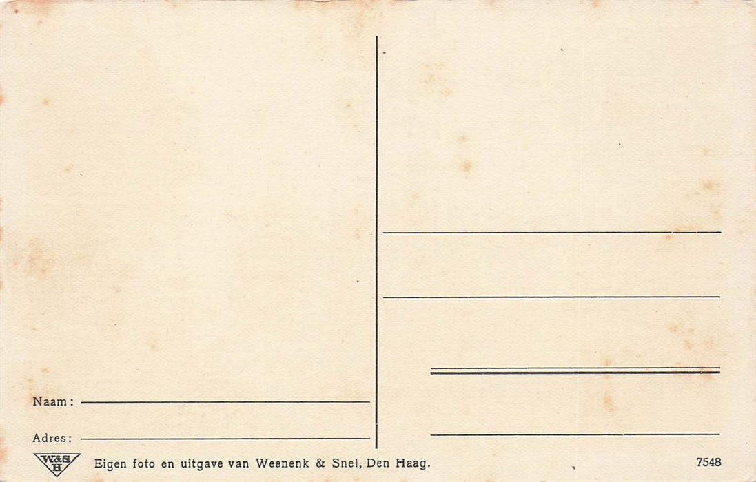 Borculo Na De Cycloon Op 10 Augustus 1925