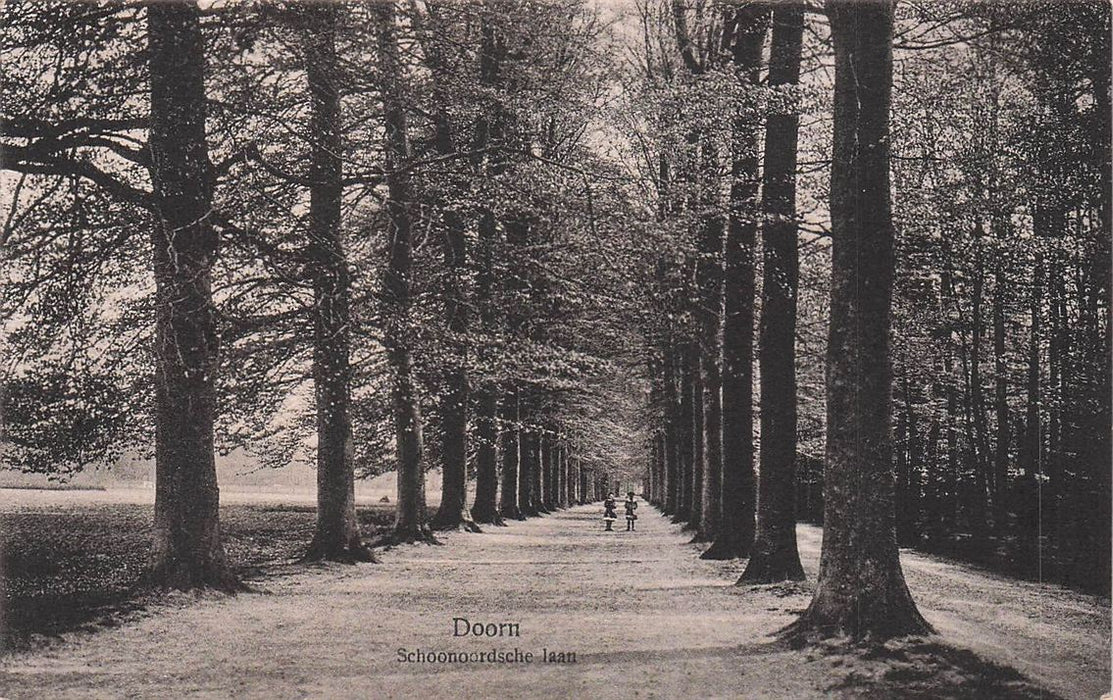 Doorn Schoonoordsche Laan