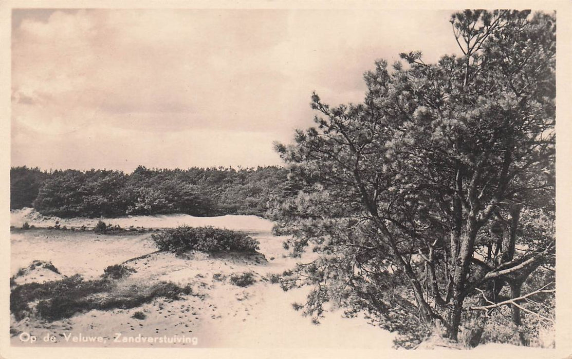 Op De Veluwe Zandverstuiving