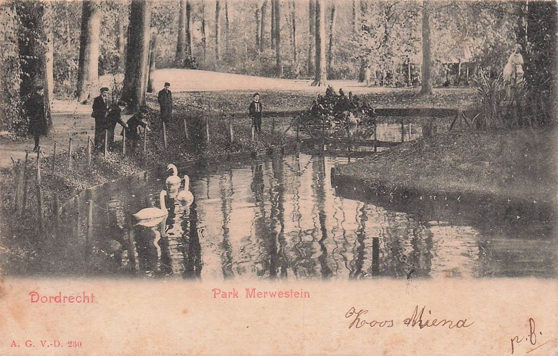 Dordrecht Park Merwestein