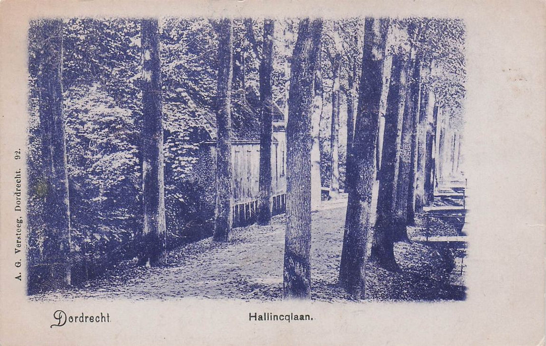 Dordrecht Hallincqlaan