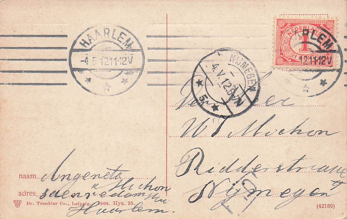 Lisse Hyacinthenvelden