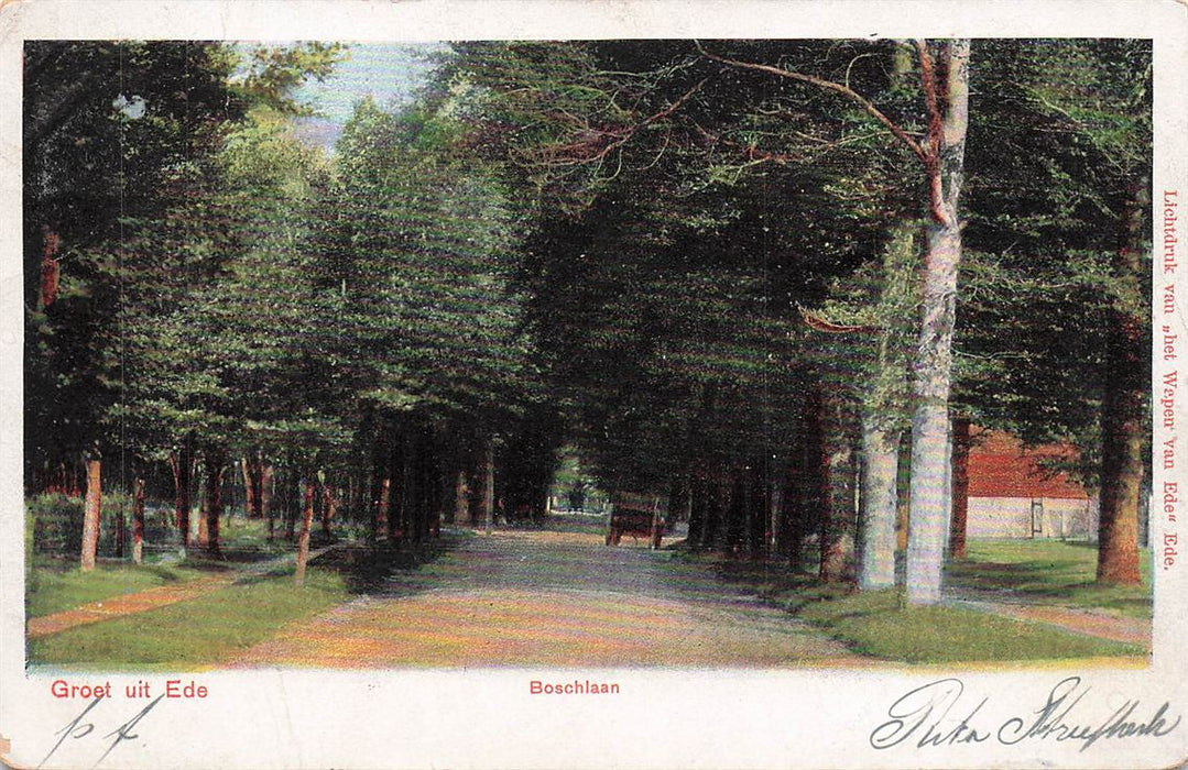 Groet Uit Ede Boschlaan