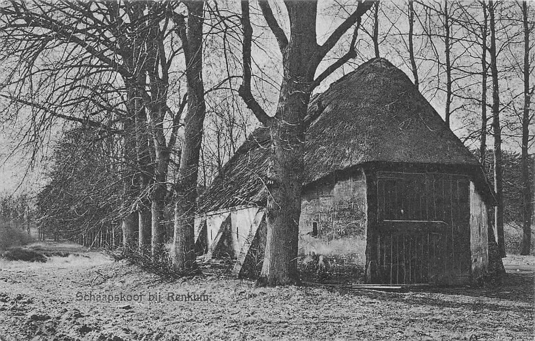 Schaapskooi Bij Renkum