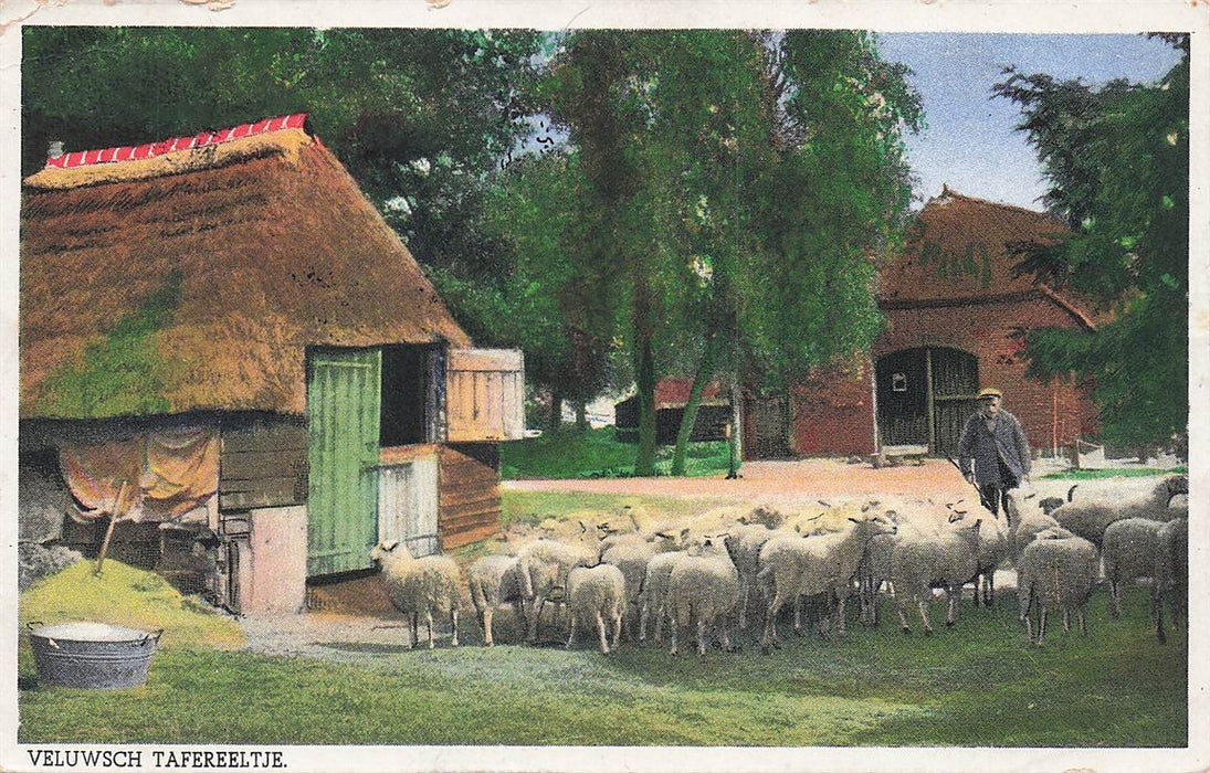Veluwsch Tafereeltje