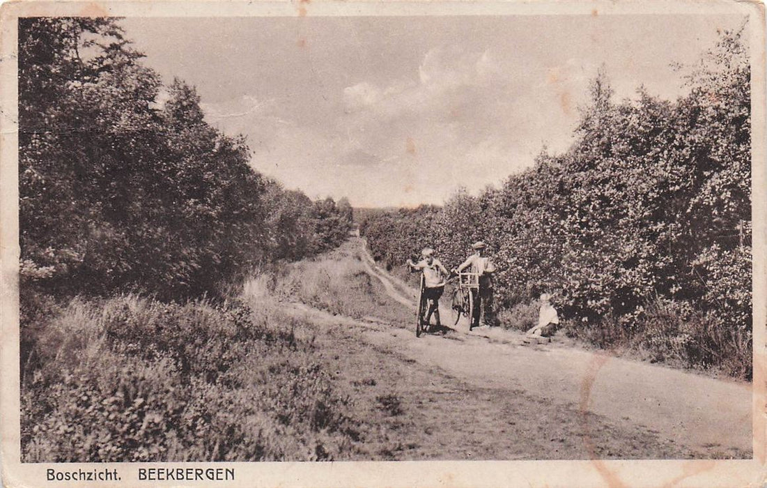 Boschzicht Beekbergen