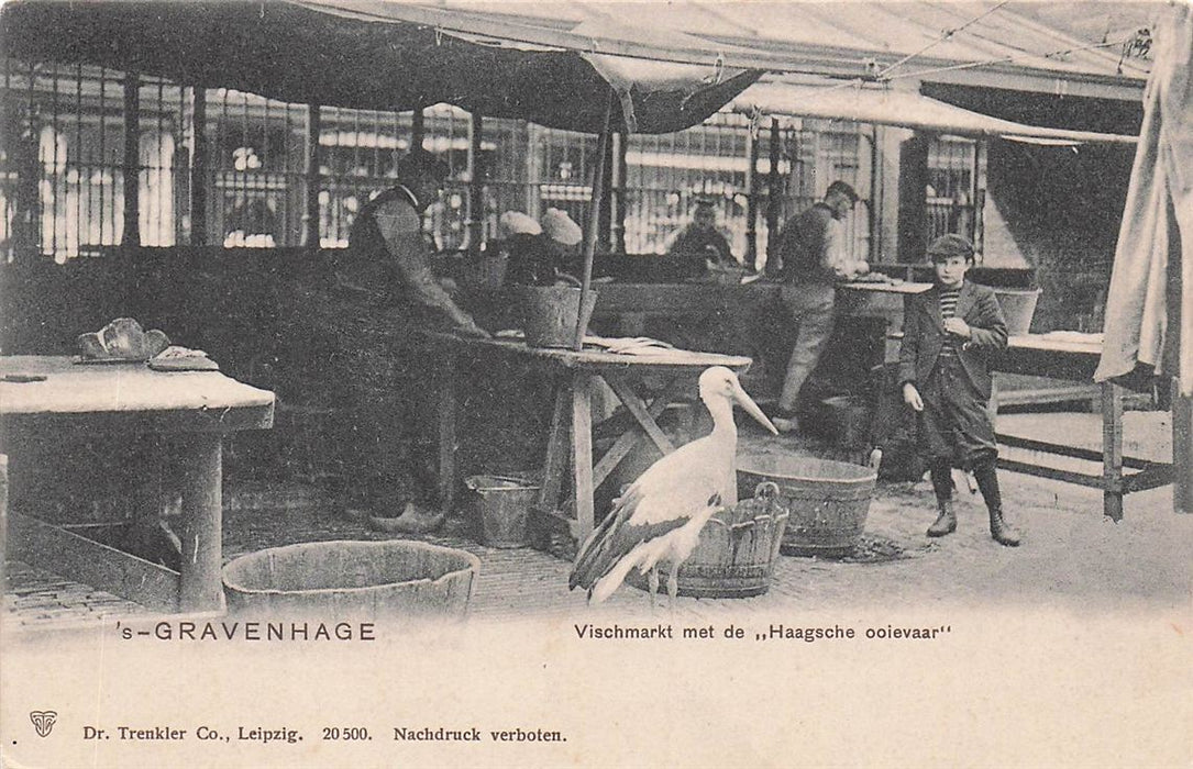 S-Gravenhage Vischmarkt Met De Haagsche Ooievaar