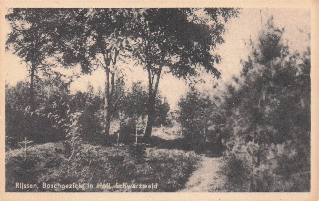 Rijssen Boschgezicht In Holl Schwarzwald