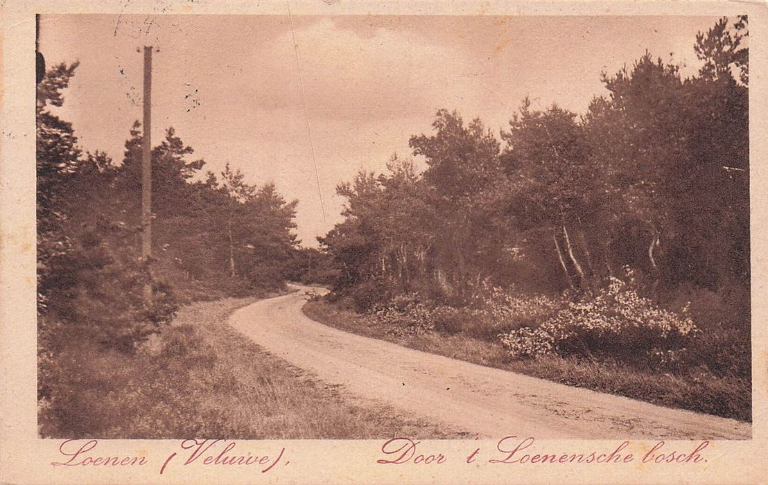 Loenen (Veluwe) Door'T Loenensche Bosch