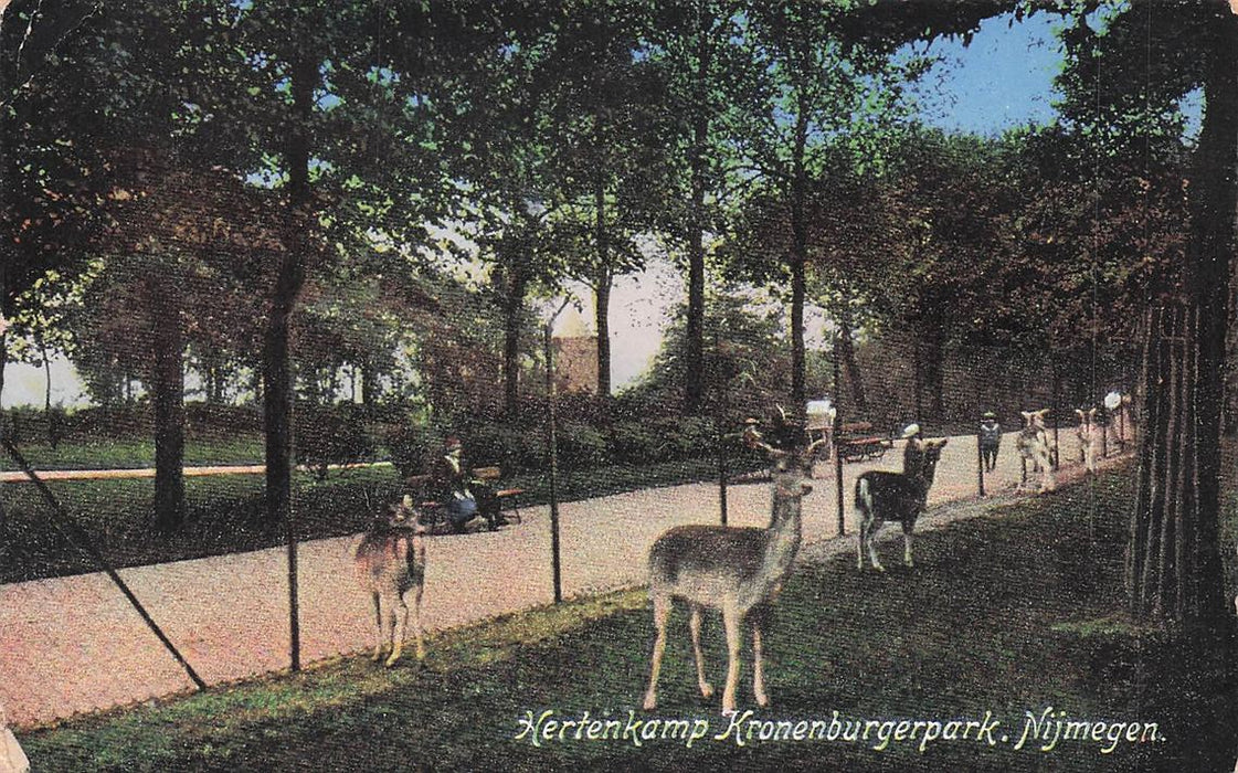 Hertenkamp Kronenburgerpark Nijmegen