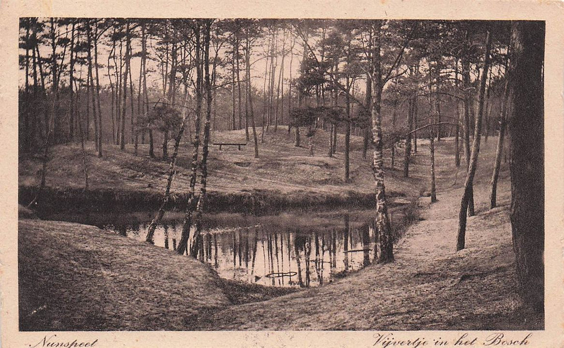 Nunspeet Vijvertje In Het Bosch