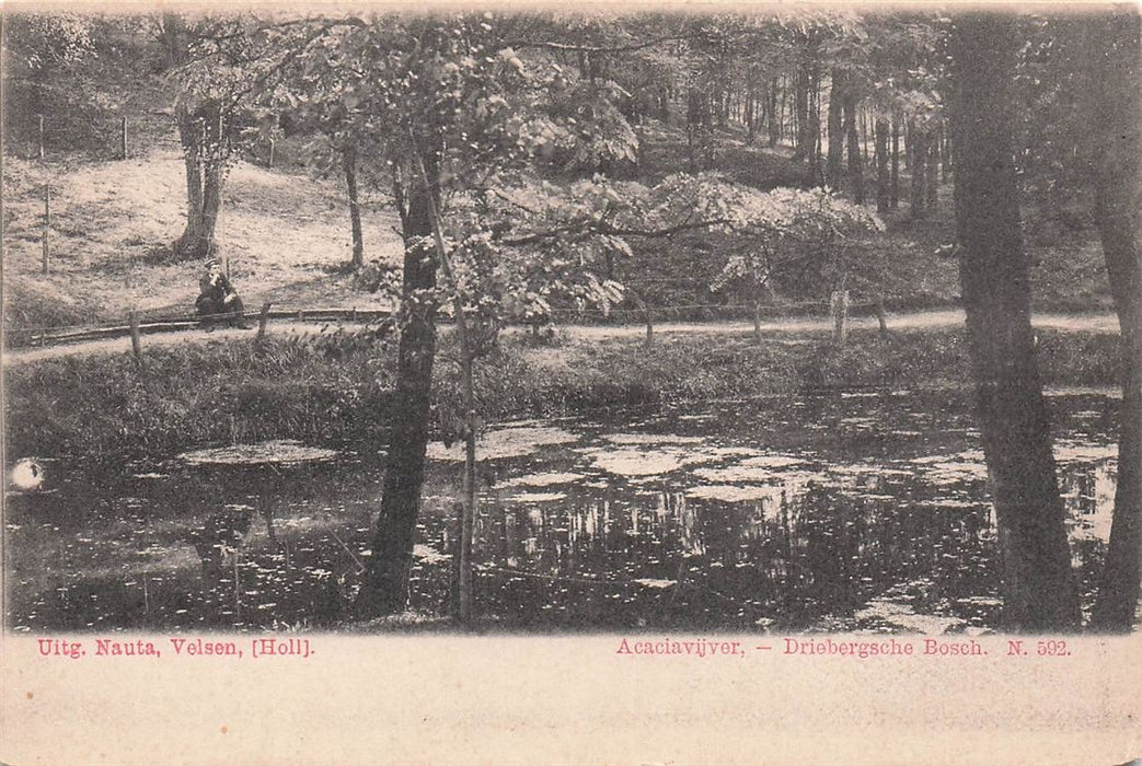 Acaciavijver Driebergsche Bosch
