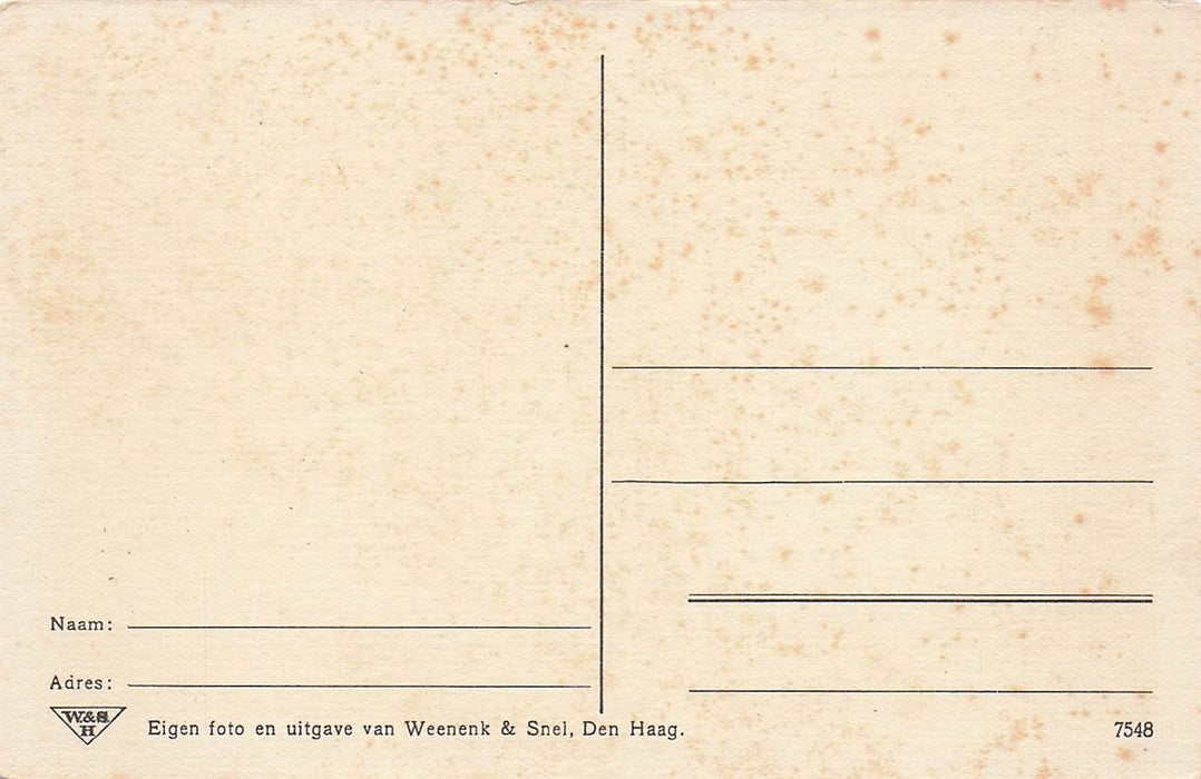 Borculo Na De Cycloon Op 10 Augustus 1925
