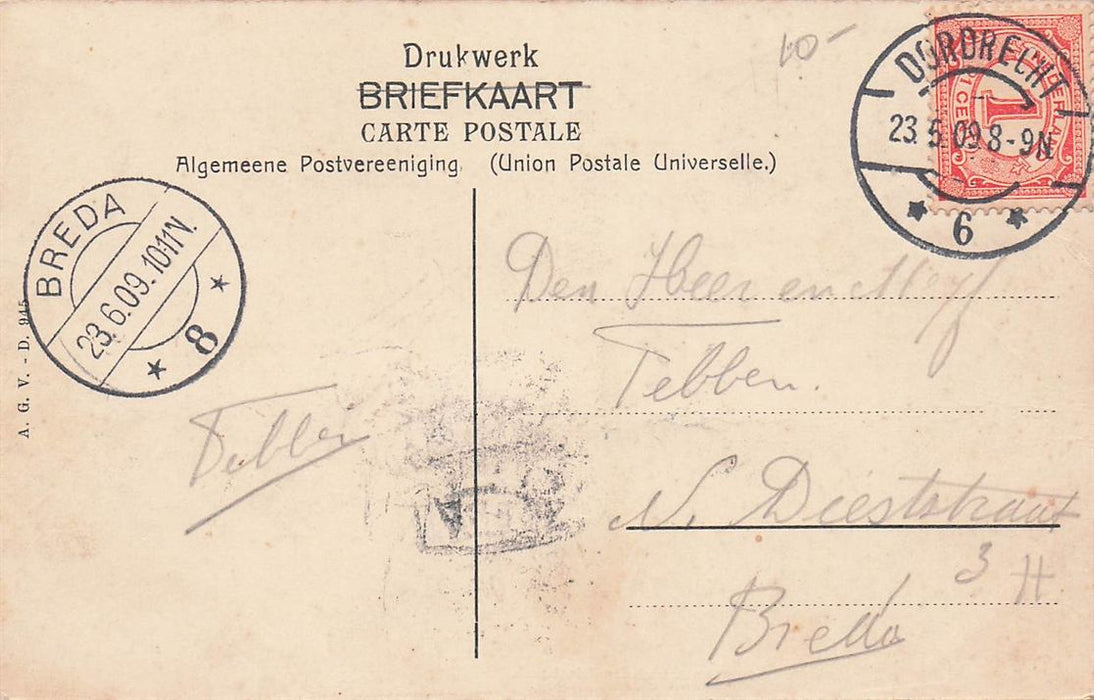 Dordrecht Manoeuvers Pontonniers Aan Den Biesbosch