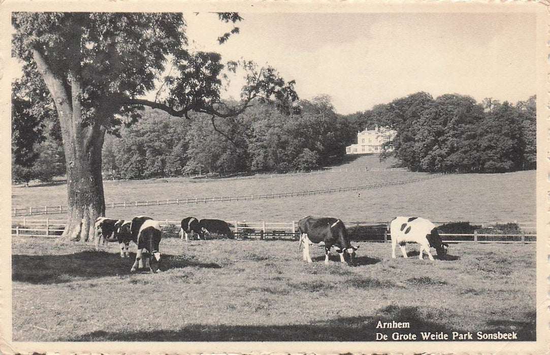 Arnhem De Grote Weide Park Sonsbeek